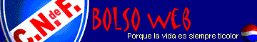 Bolso WEB