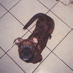 Buster