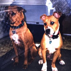 Chance & Savannah
