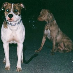 Sim & Ker