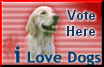 Vote For Pit Bull Power