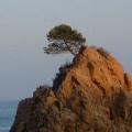 Tossa del Mar (Spain)