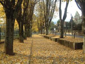 Vila Real