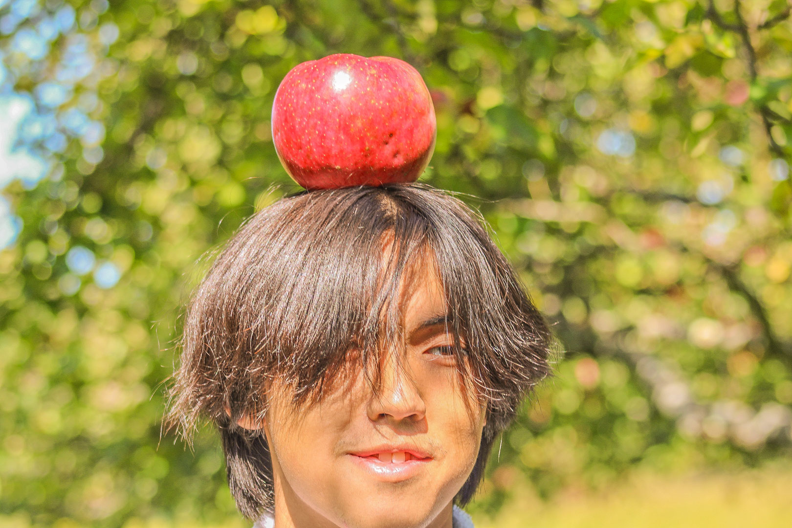 A person with short, dark hair is smiling while an apple is balanced on top of their head. The background features a blurred landscape of green foliage, suggesting a sunny outdoor setting. The apple is bright red and round, contrasting with the person's hair and the vibrant greenery behind them.