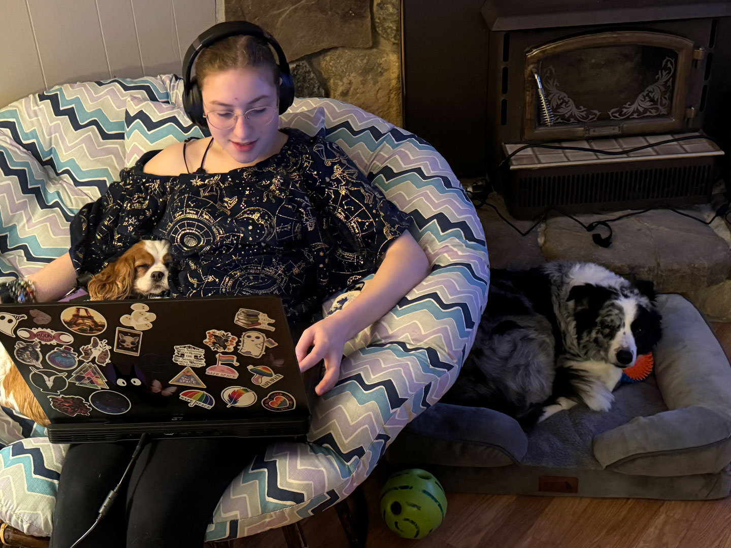 phoenix on laptop with a dog in there lap and one to there right on a dig bed