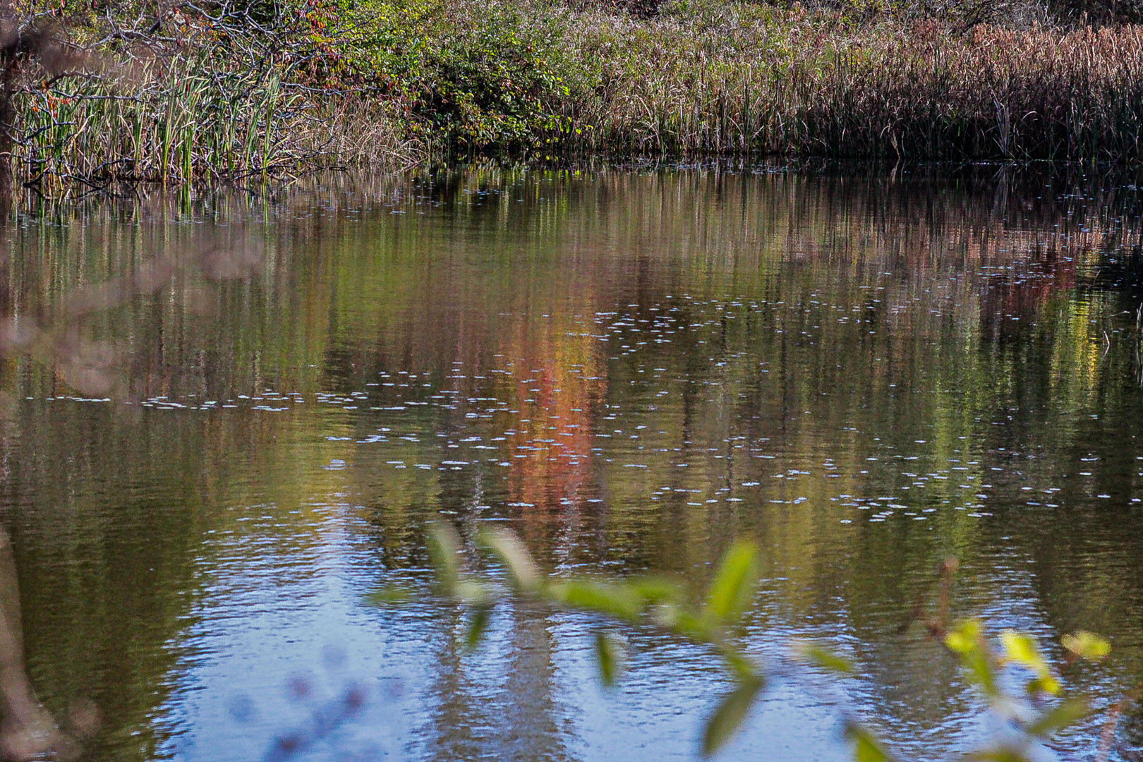 a lake
