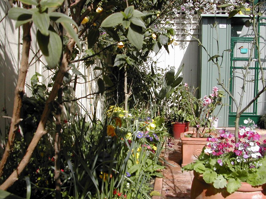 From the back gate