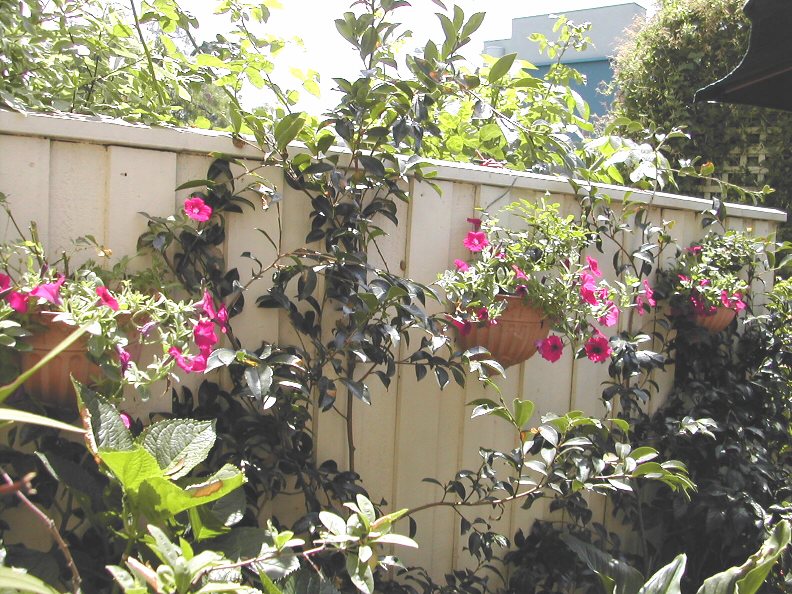 The Southern Fence