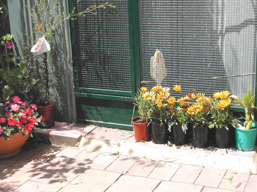 The Aviary