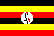 UG