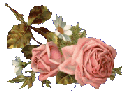 flower-ayers2.gif (5976 bytes)