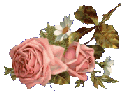 flower2-ayers2.gif (6004 bytes)