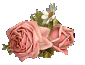 smflower