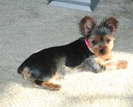 Chloe @ 5 mths