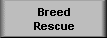 Click here to go to our Breed Rescue page