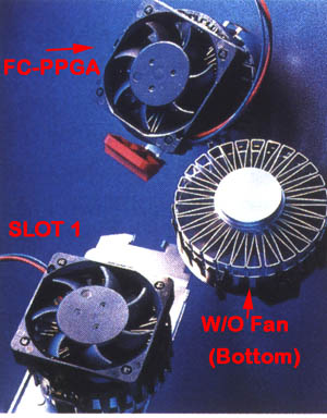 molex2.jpg (37246 bytes)