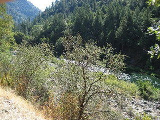 Rest stop, along 299.