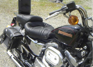 Side view of Mustang