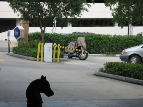 Our parking spot in New Orleans, La.