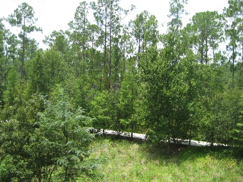 The view from our balconey..
