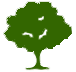 olivetree.gif - 1692 Bytes
