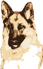 Aeroken Kennels link