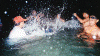gallery2.gif (75493 bytes)