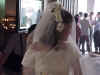 Tina 004.JPG (29558 bytes)