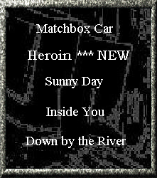 shedwebsite003.gif