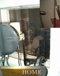shedwebsite037.jpg