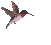 /user/bird.gif