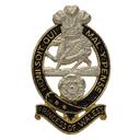 Princess of Wales's Regiment (Queen's and Royal Hampshires)