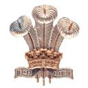 The Royal Regiment of Wales (24th/41st Foot)