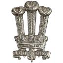 The Royal Regiment of Wales (24th/41st Foot)