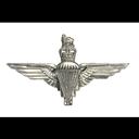The Parachute Regiment