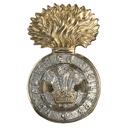 The Royal Welsh Fusiliers
