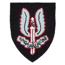 Special Air Service Regiment (S.A.S)