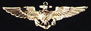 Naval Astronaut