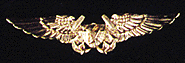 Naval Astronaut (NFO)