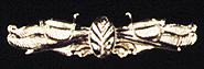 Surface Warfare Medical Service Corps