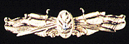 Surface Warfare Medical Corps