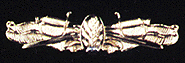 Surface Warfare Dental Corps