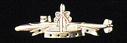 SSBN Deterrent Patrol (20 Patrols)