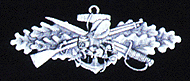 Seabee Combat Warfare Specialist (Enlisted)