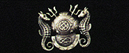 Diving (Officer)