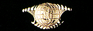 Integrated Surveillance System (Officer)