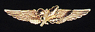 Navial Aviation Supply Corps