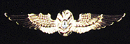 Flight Surgeon