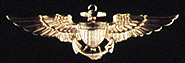 Naval Aviator