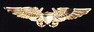 Naval Flight Officer